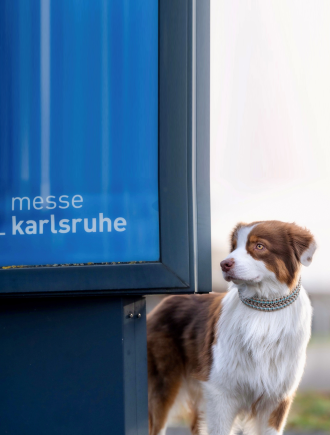 Portrait Michaela S. aus Landau in der Pfalz