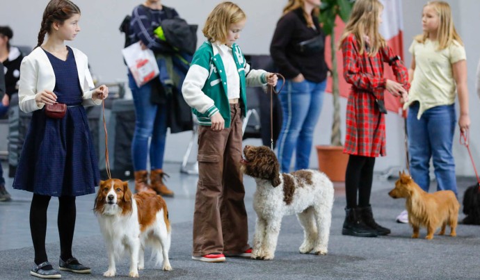 Kinder, die den Umgang mit Hunden lernen